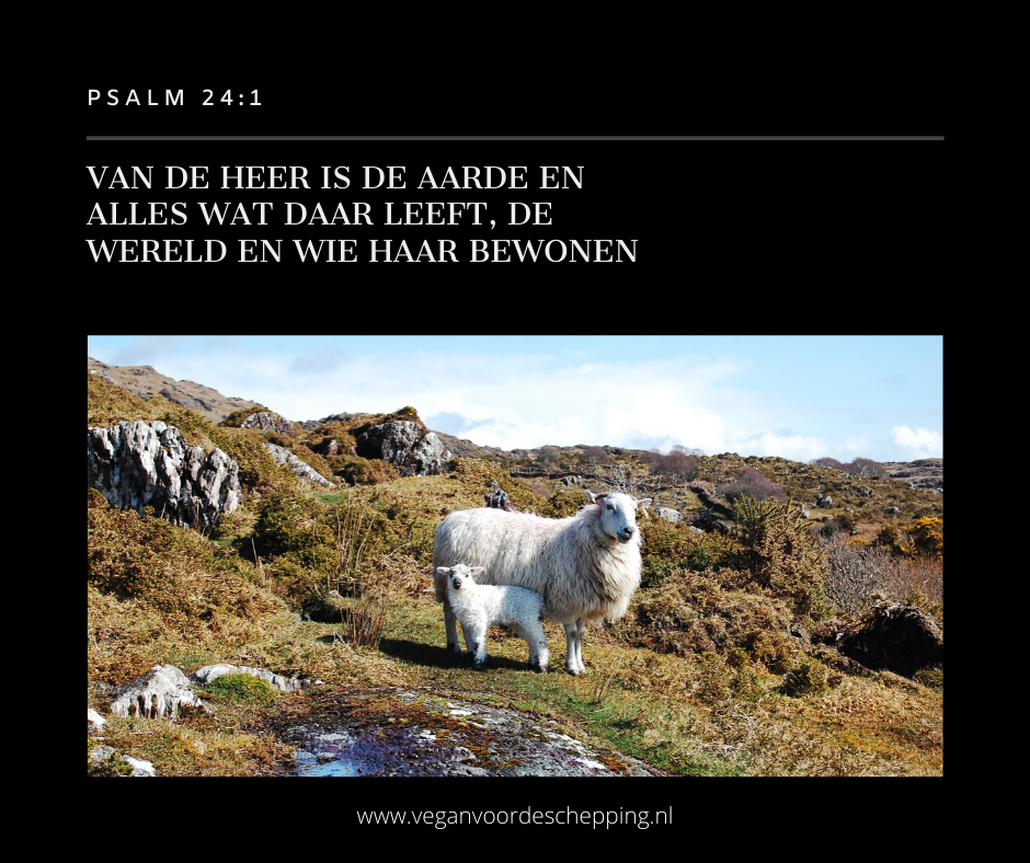 Psalm 24:1